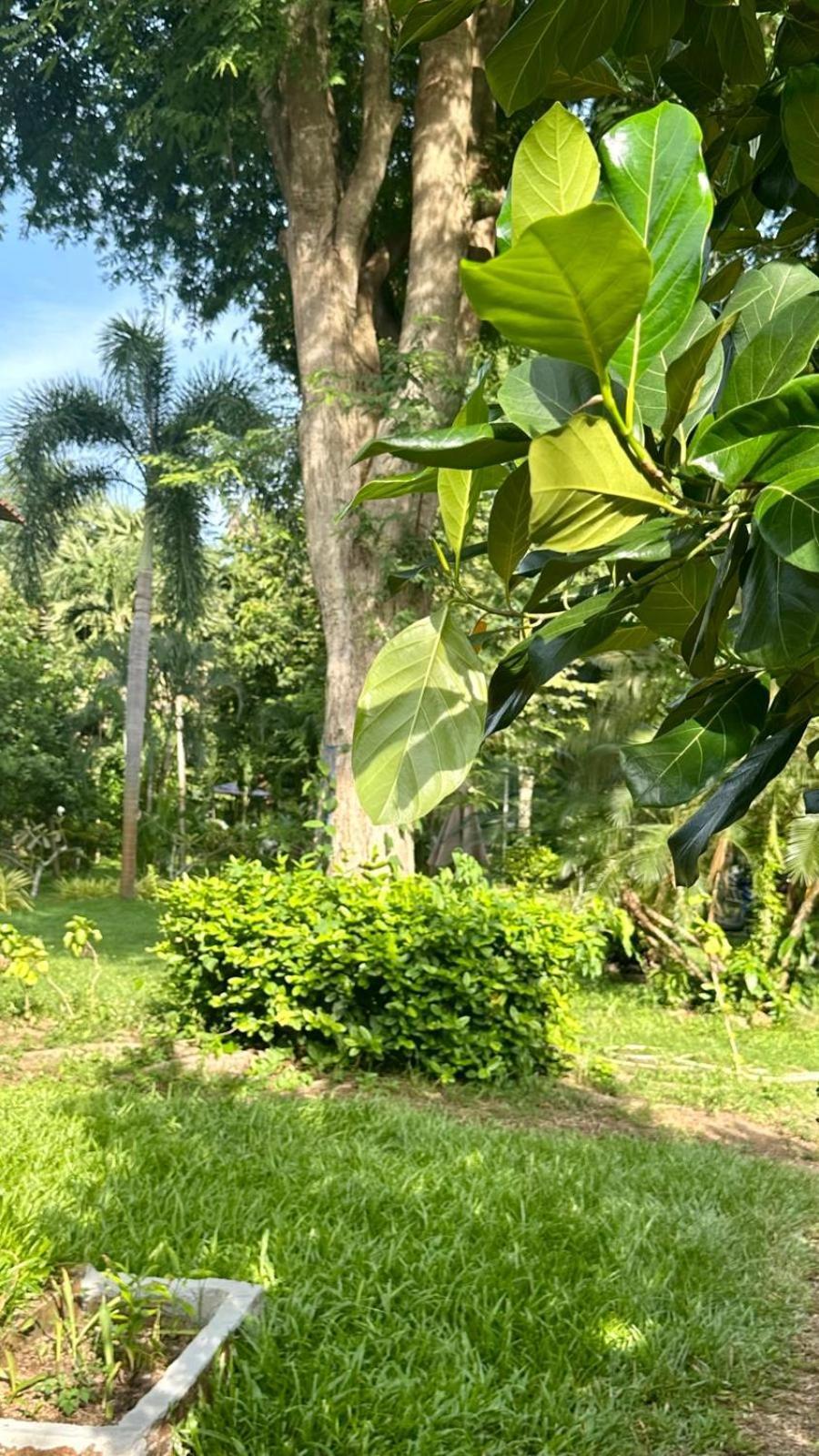 Aforetime Village * Amphoe Koksamui