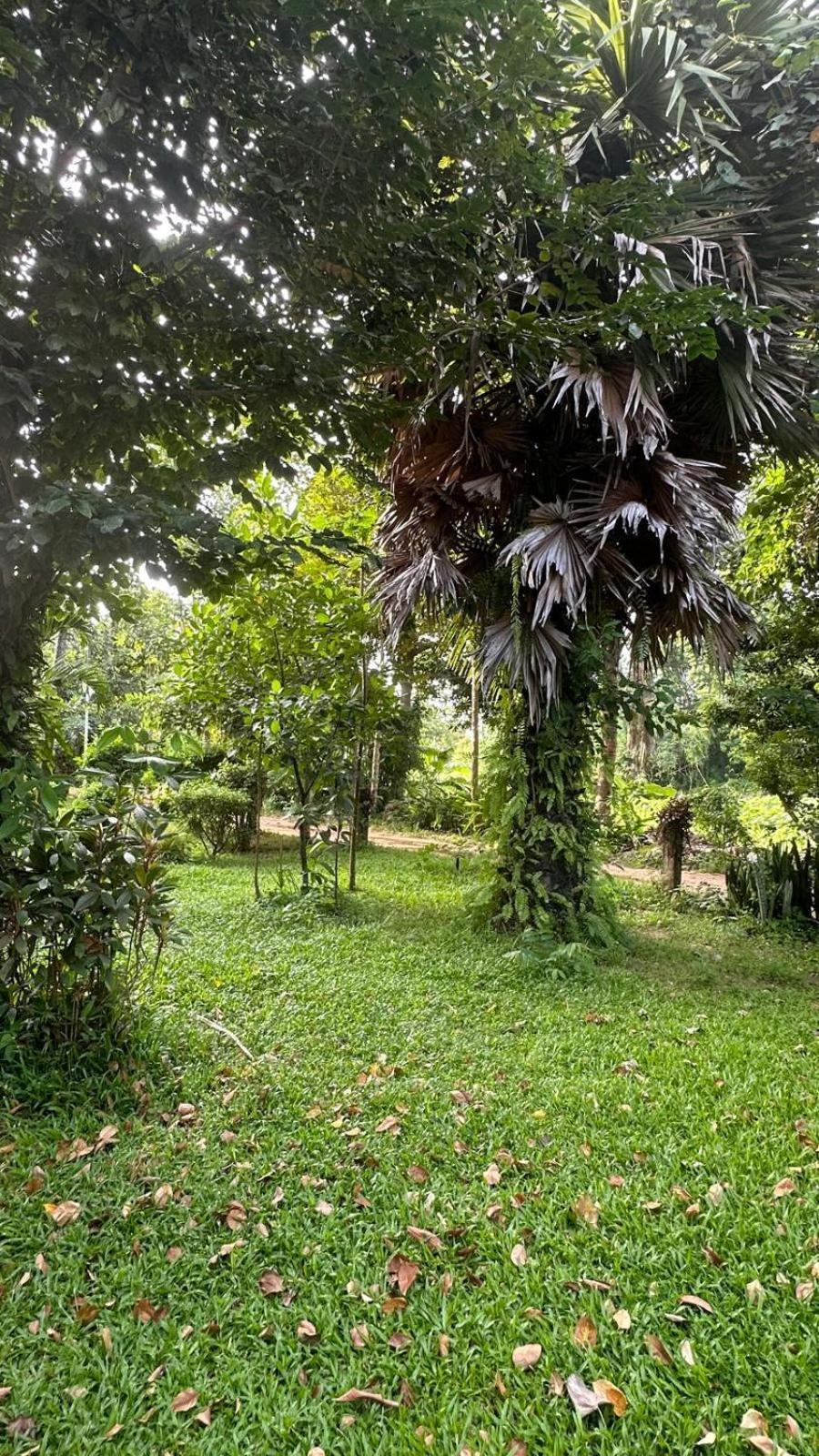 Aforetime Village Villa Amphoe Koksamui