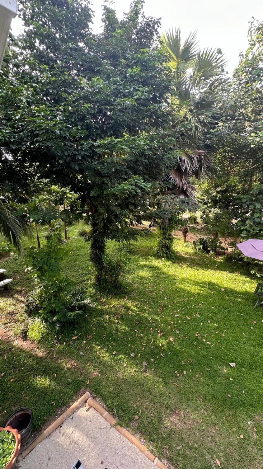 Aforetime Village