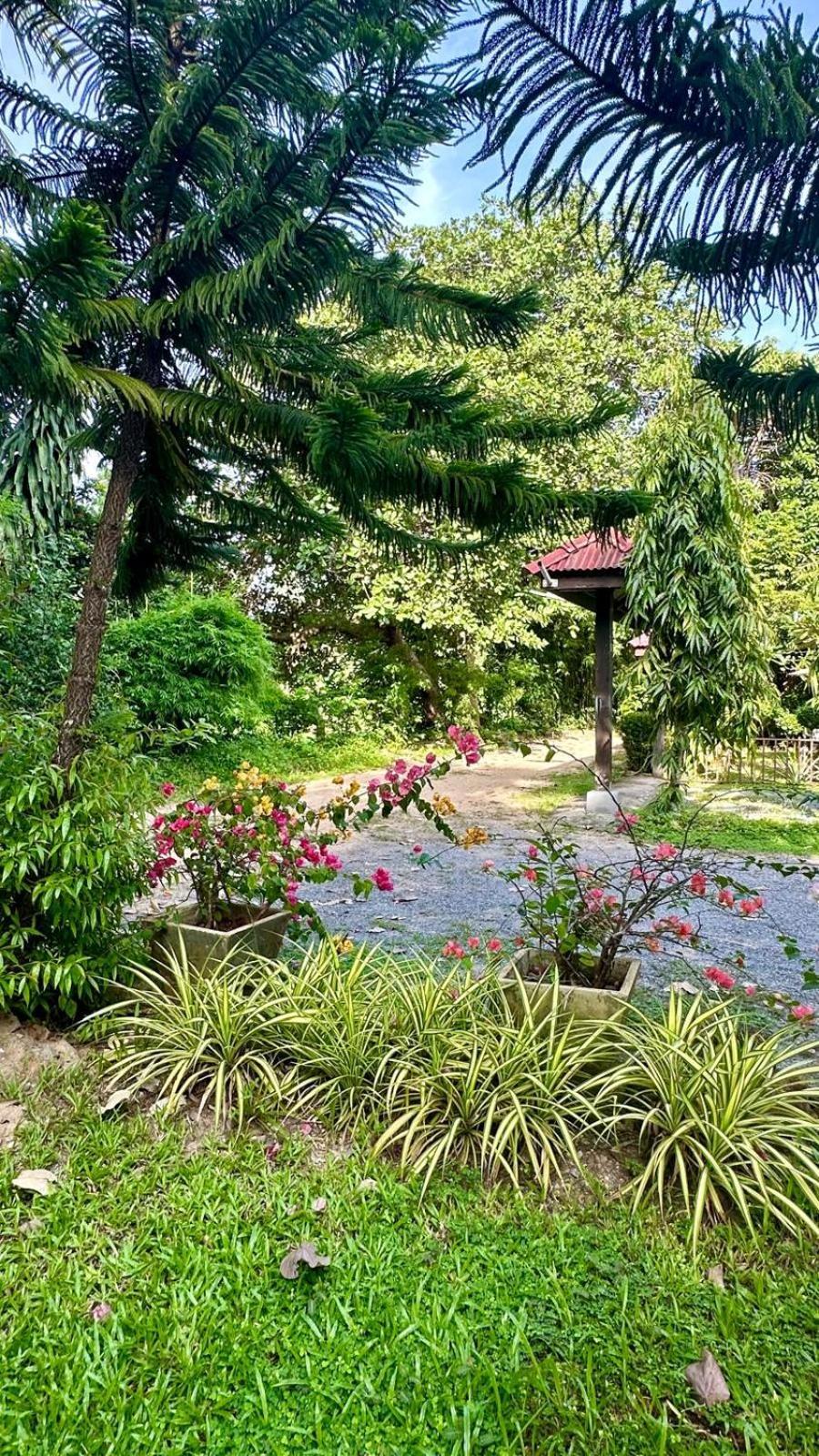 Aforetime Village Amphoe Koksamui