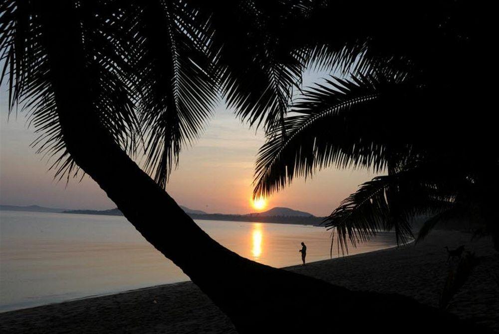 Shady Hotel Ko Samui