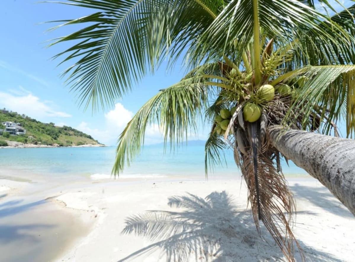 4 Bedroom Seaview On Beachfront Tg48-sdv288 By Samui Dream Amphoe Koksamui