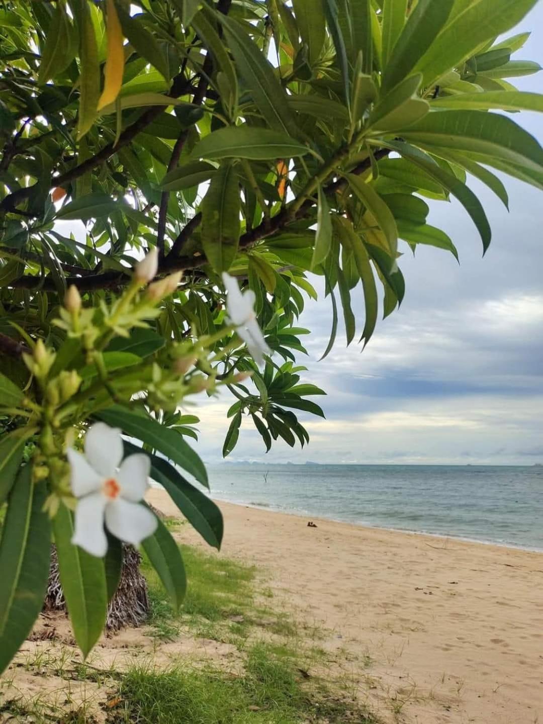 Holiday home Ban Bang Po Bee House
