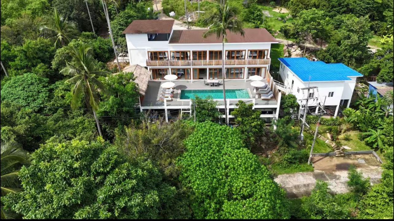 8 Bedroom Monkey 202