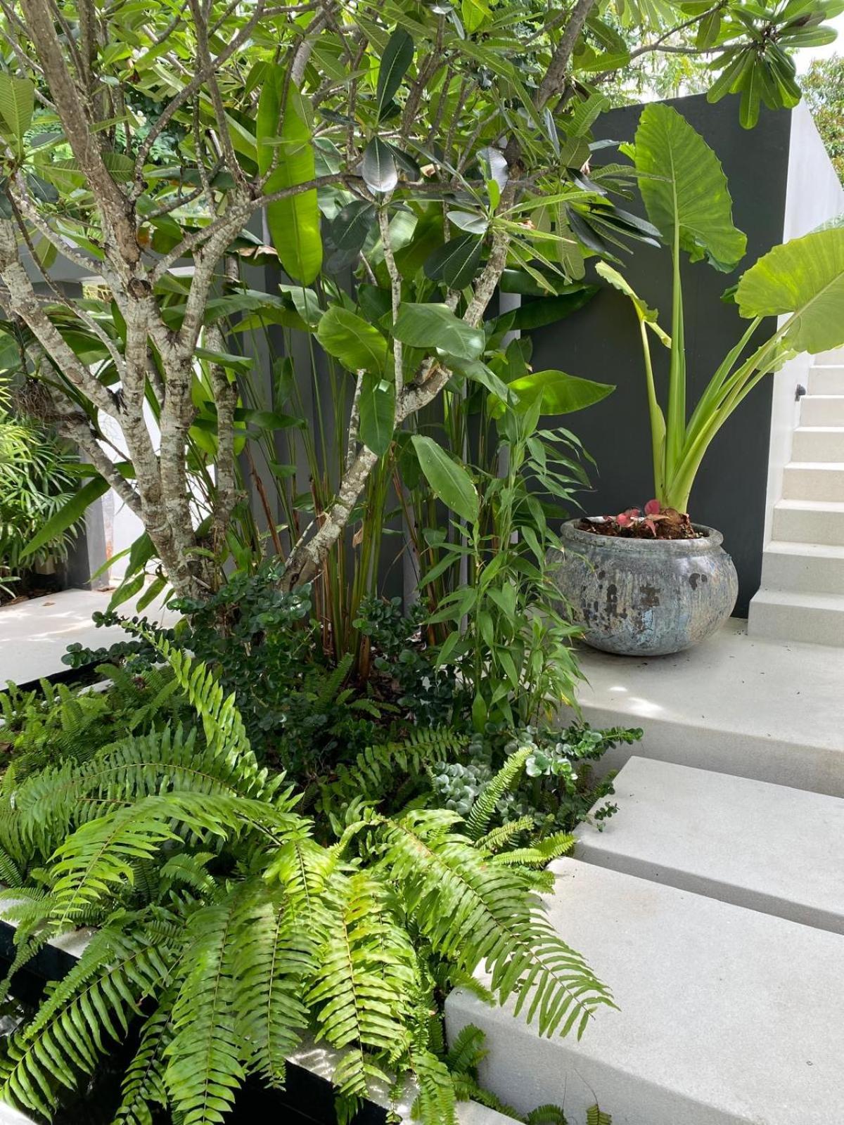 Indigo Samui Villa Koh Samui