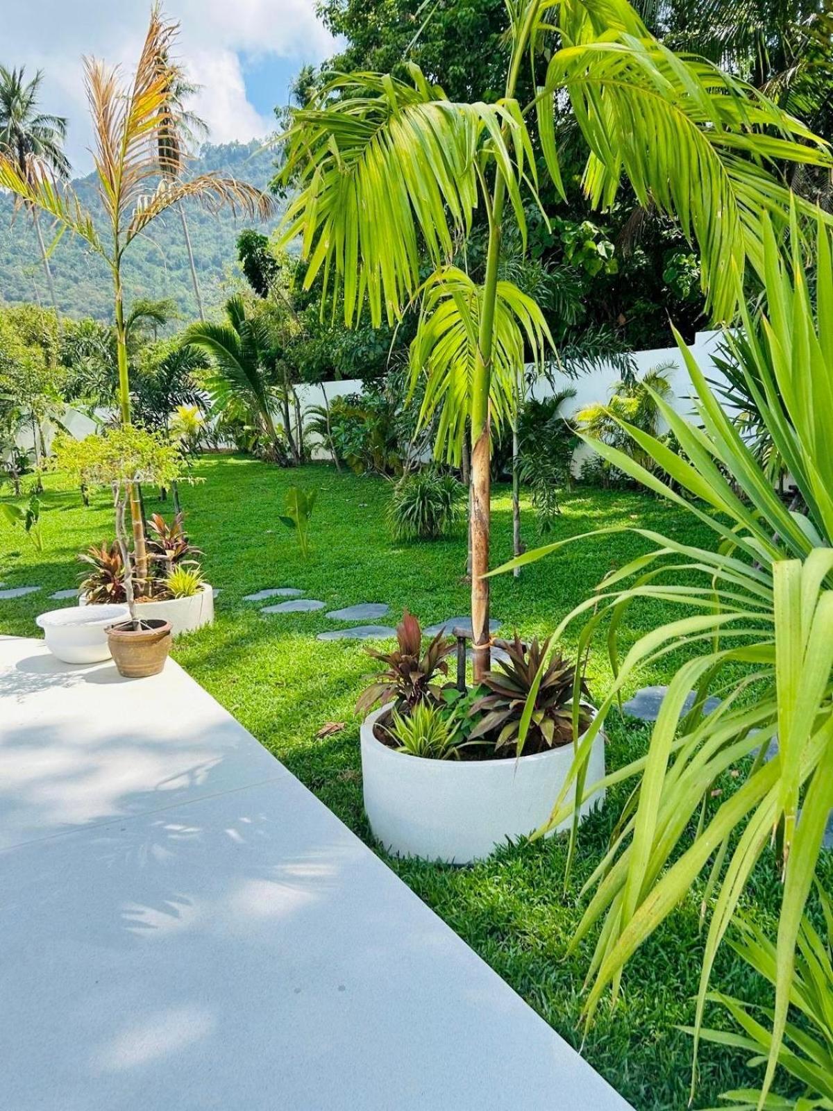Koko Villa *