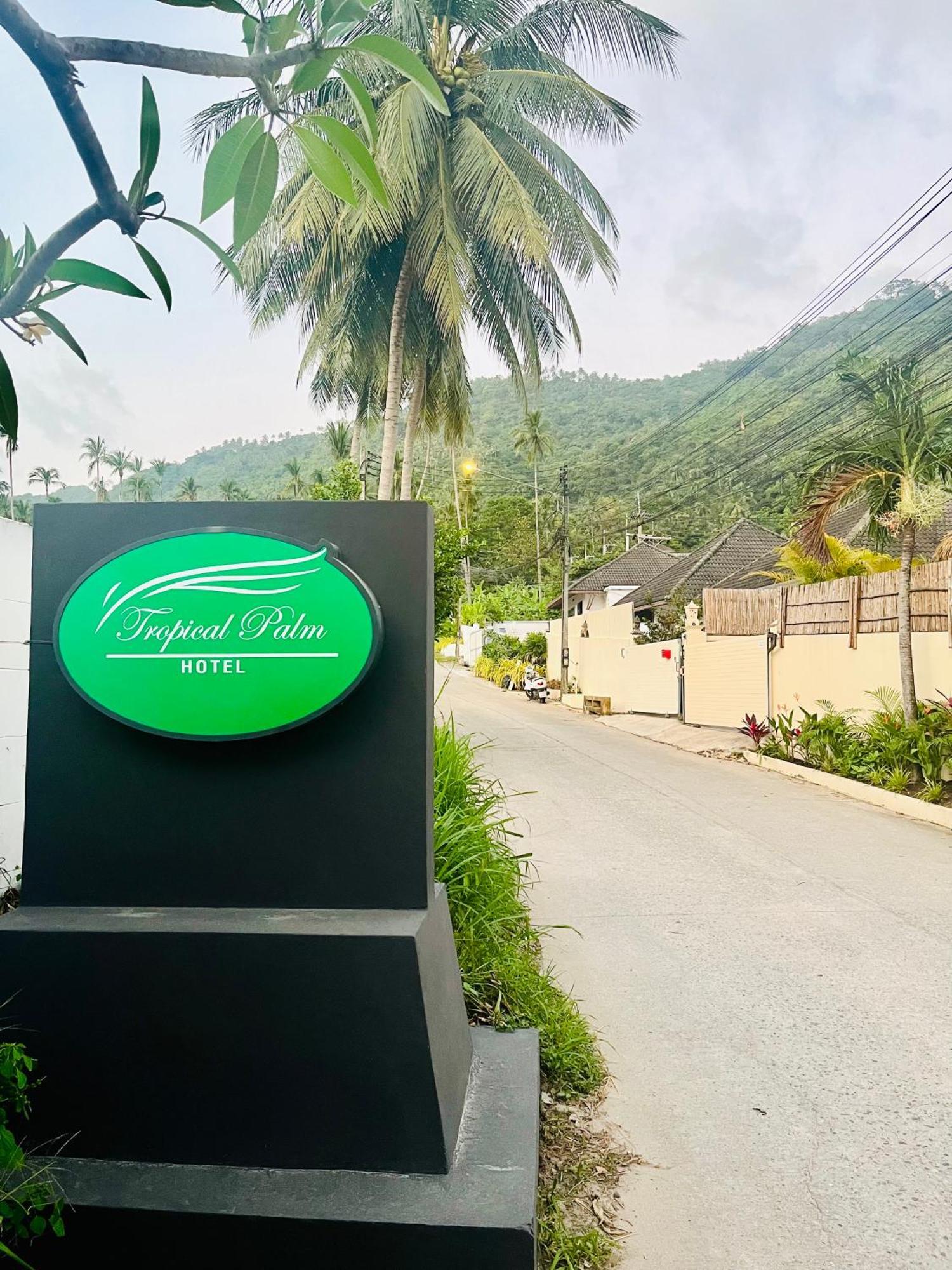Tropical Palm 3*
