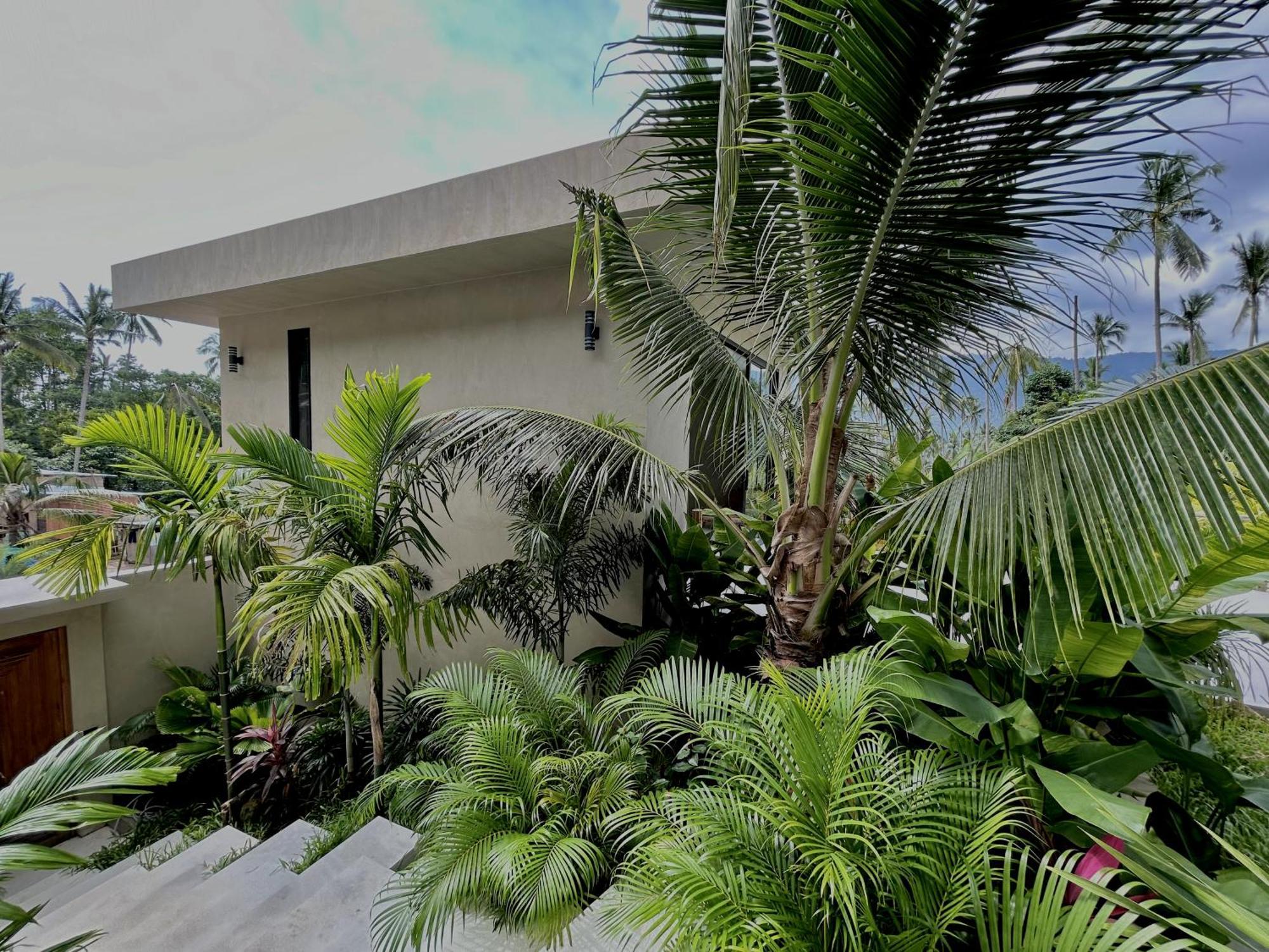 Palmera Villa
