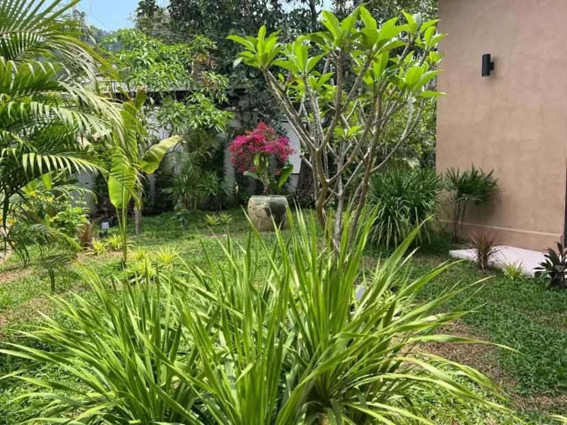 Terracotta 2 - 3 Bedrooms - Lamai Coconut Grove Ban Lamai