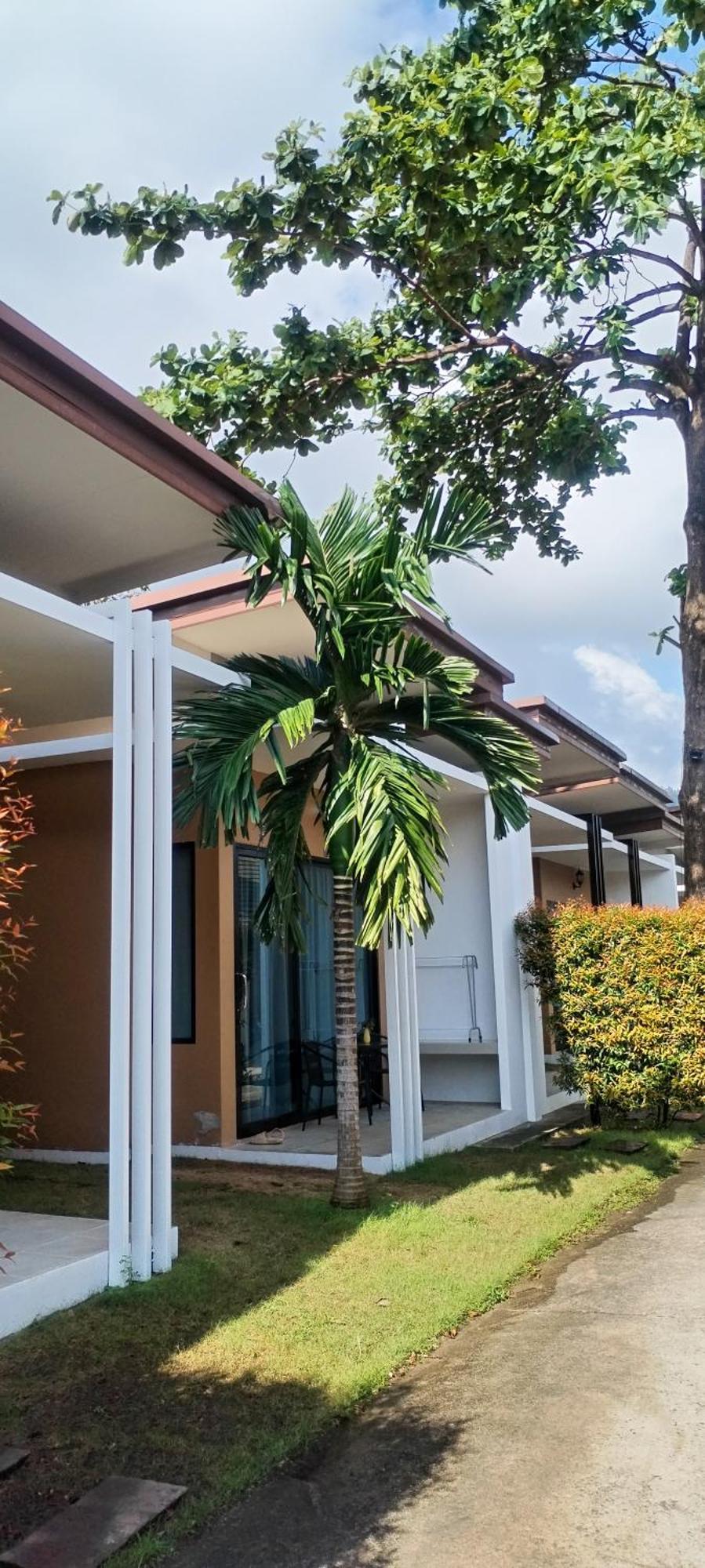 3 Tigers & Hotel Amphoe Koksamui