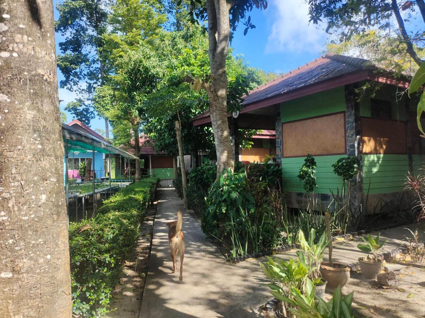 Resort Everest Samui - Sha Mae Nam