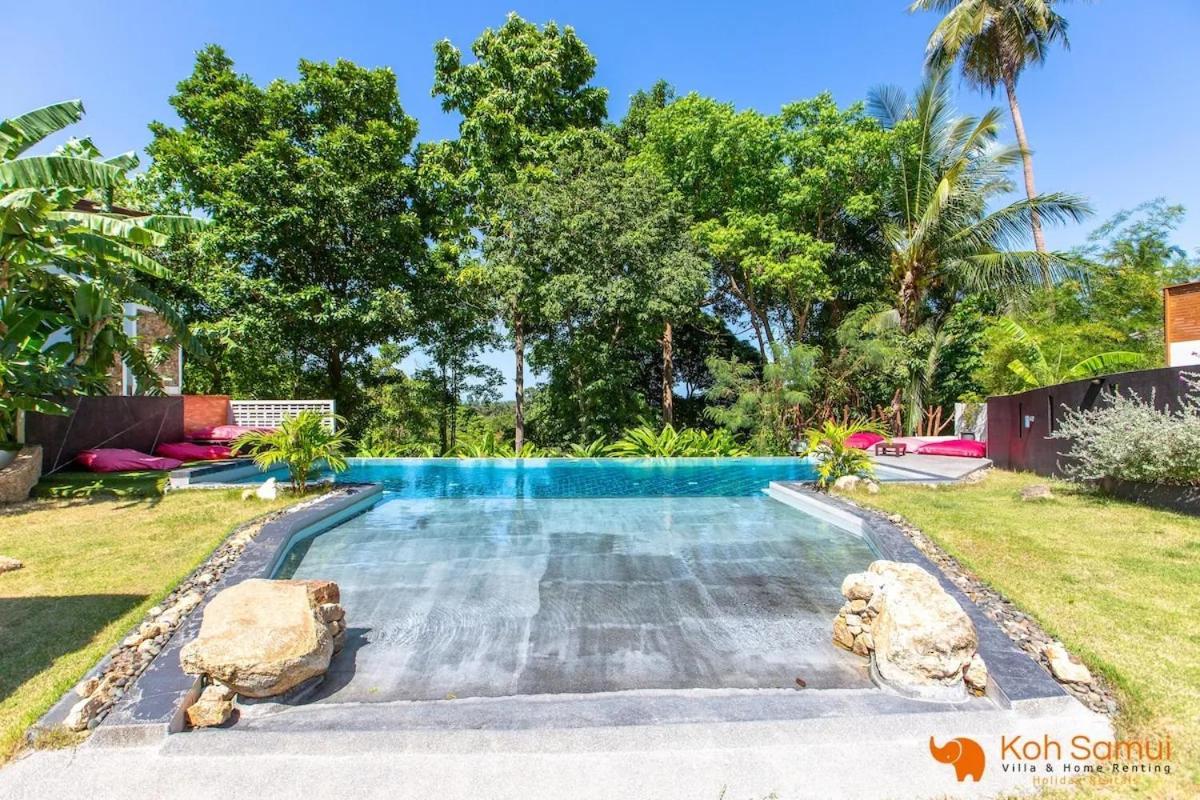 Cosi Flat & Pool - Area
