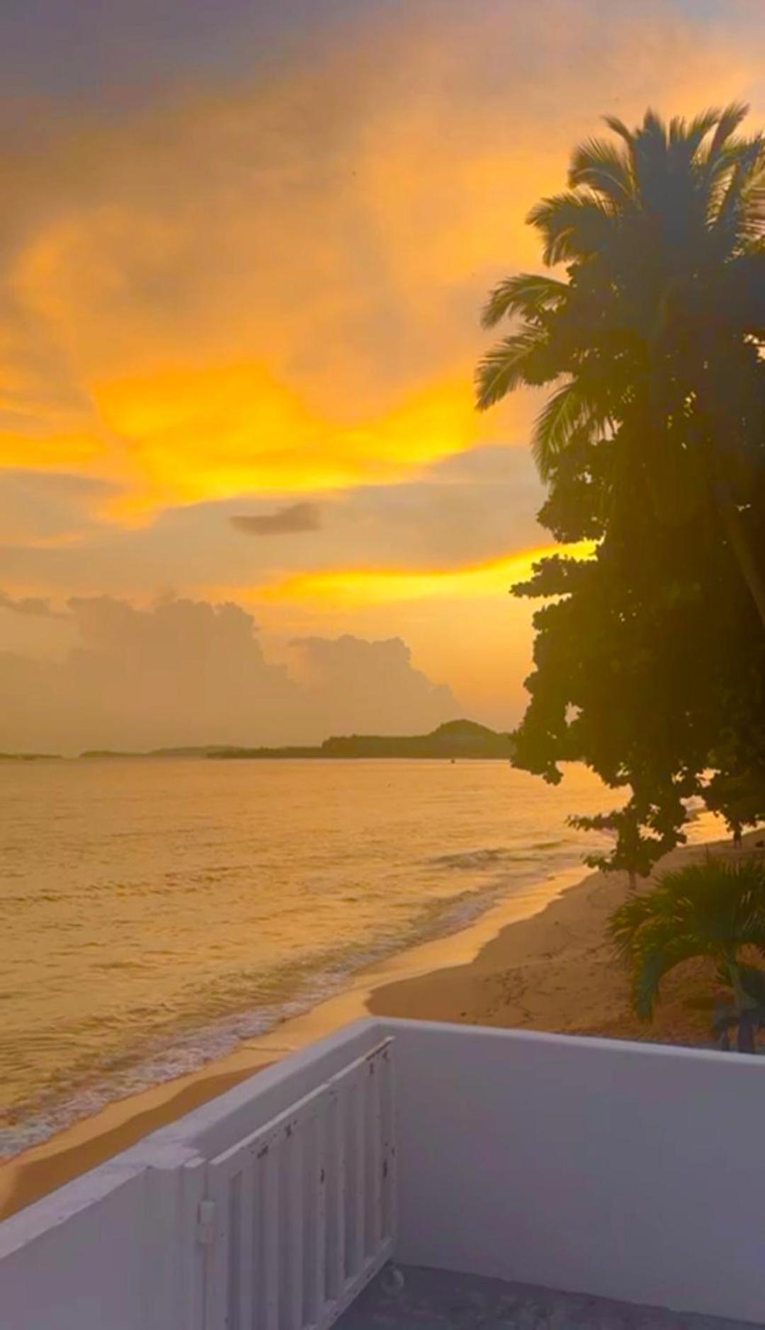 Apartment Peaceful Hideaway With Stunning View Access *