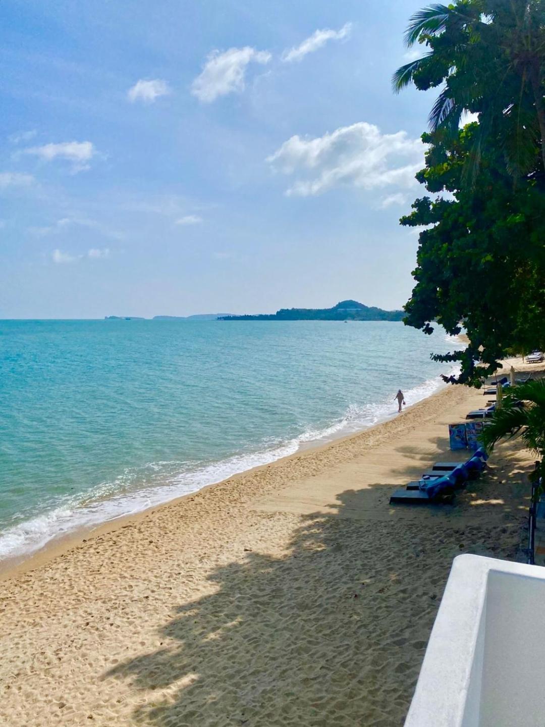Apartment Peaceful Hideaway With Stunning View Access