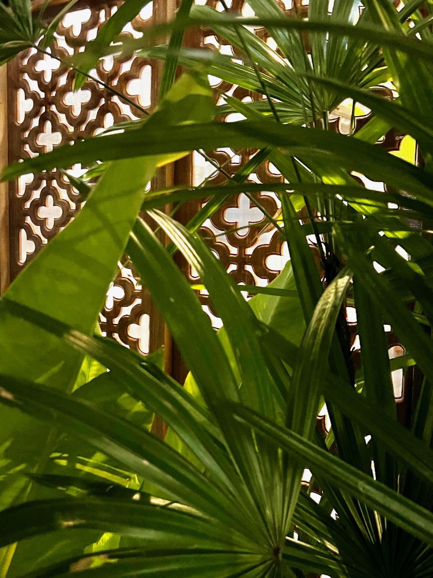 Holiday home Casas Pa Cha Si Amphoe Koksamui
