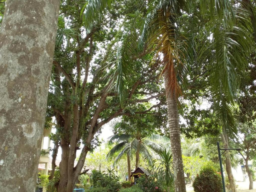 Jinta Nathon Chaweng (Koh Samui)