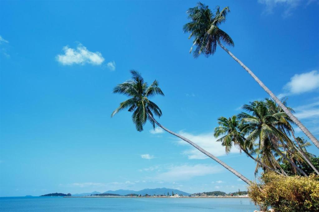 Hotel Palm Point Village Mae Nam