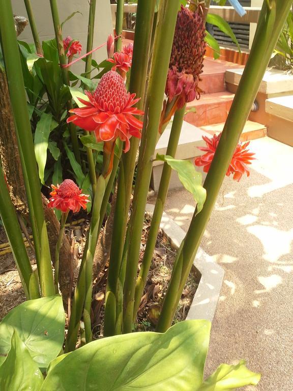 Resort Montra Samui Thailand