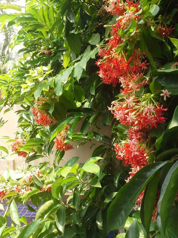 Montra Samui Thailand