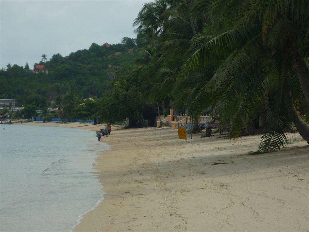 Buddha Lounge Samui Bang Rak Beach (Koh Samui)