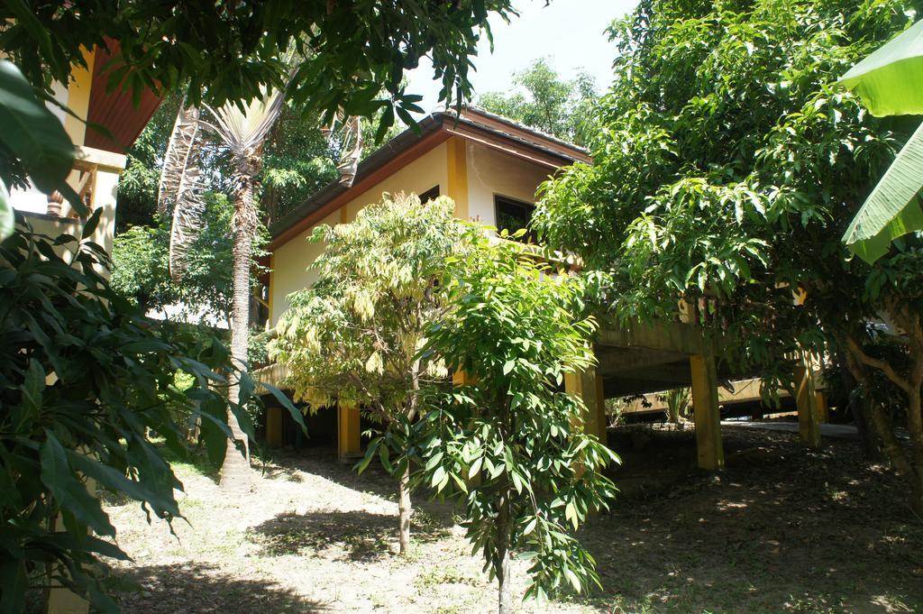 Cashew Nut Village