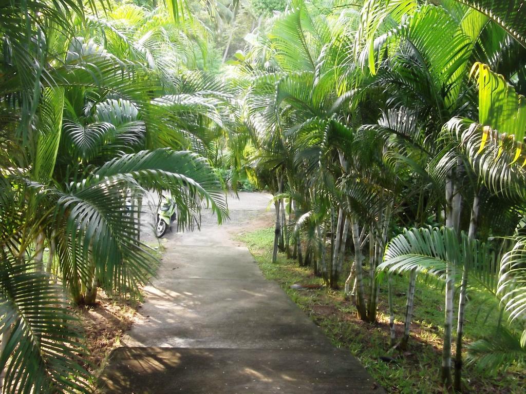 Wilai Villa Lamai Casa de férias *