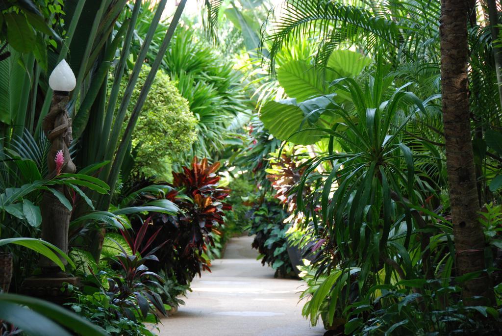 White House Resort Ko Samui