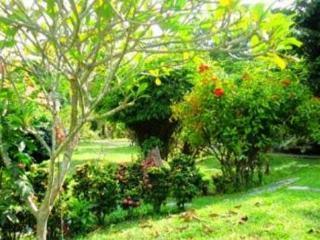 Green Villa Resort 2*
