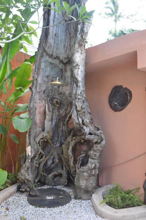 Samui Tropical Apartamento *