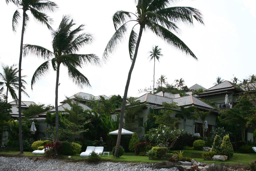 Resort Replay Pool Beachfront Samui Strand Bang Rak