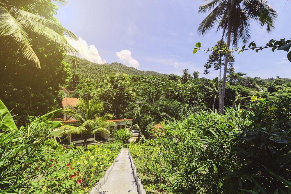 Mali Samui Hotel 3*