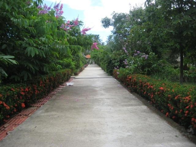 Baansaensook Villas Chaweng