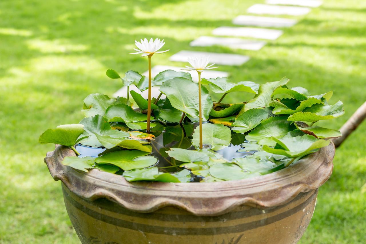 Villa Baan Suaan Serenity Laem Sor