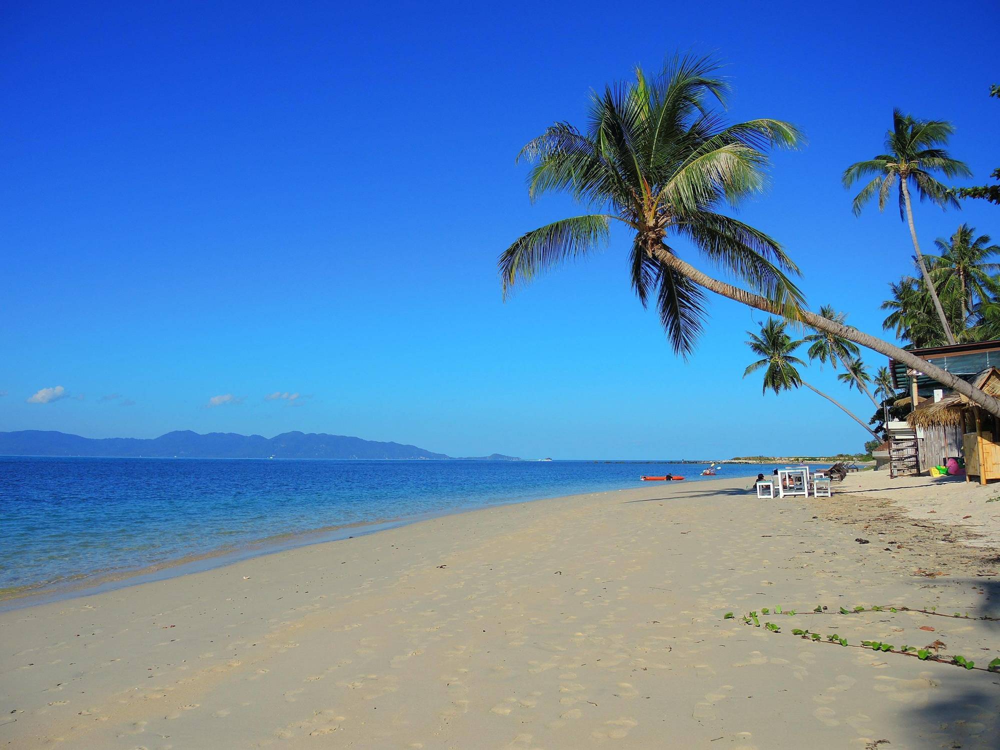 Samui Tropical Apartamento *