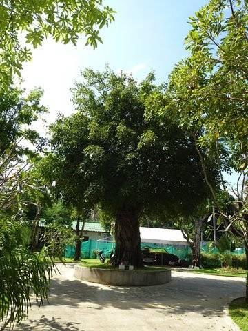 Resort Bhumlapa Garden Bophut