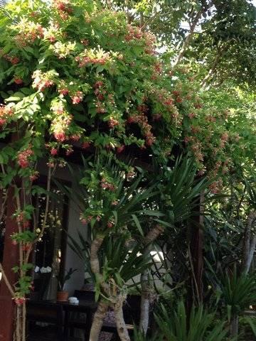 Bhumlapa Garden 3* Bophut