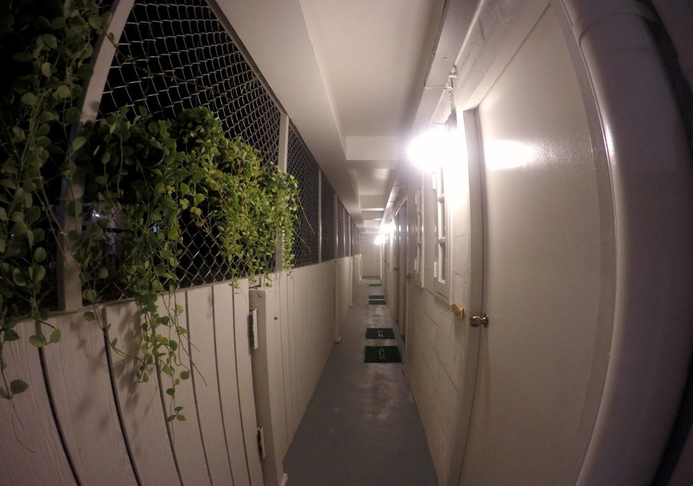 Albergue The Pier *