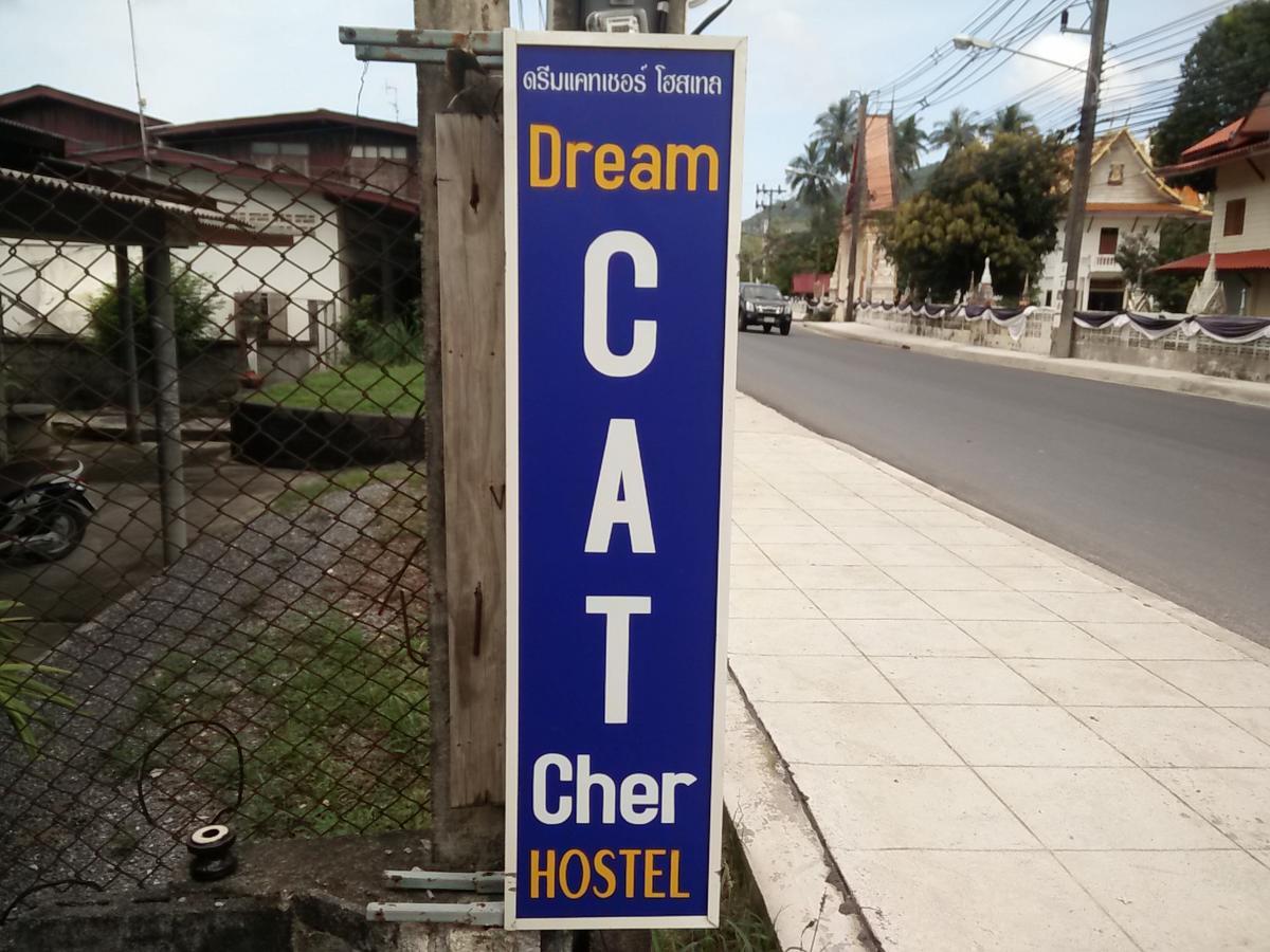 Hostel Dream Cat-cher *