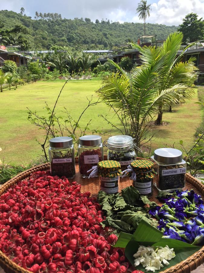 Baan Boom Boxes Eco Friendly Tempat peranginan Mae Nam