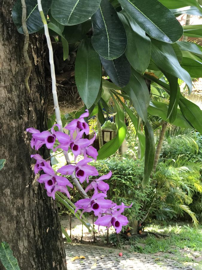 Baansom Pousada Bophut