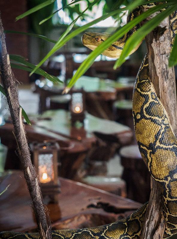 Little Jungle Resort 2*