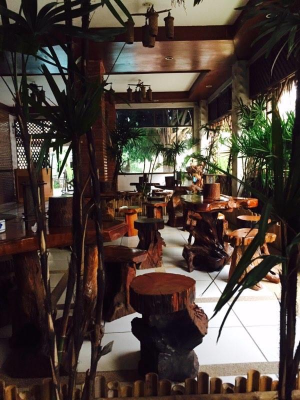 Little Jungle 2*