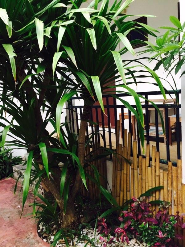 Little Jungle Resort Chaweng (Koh Samui)