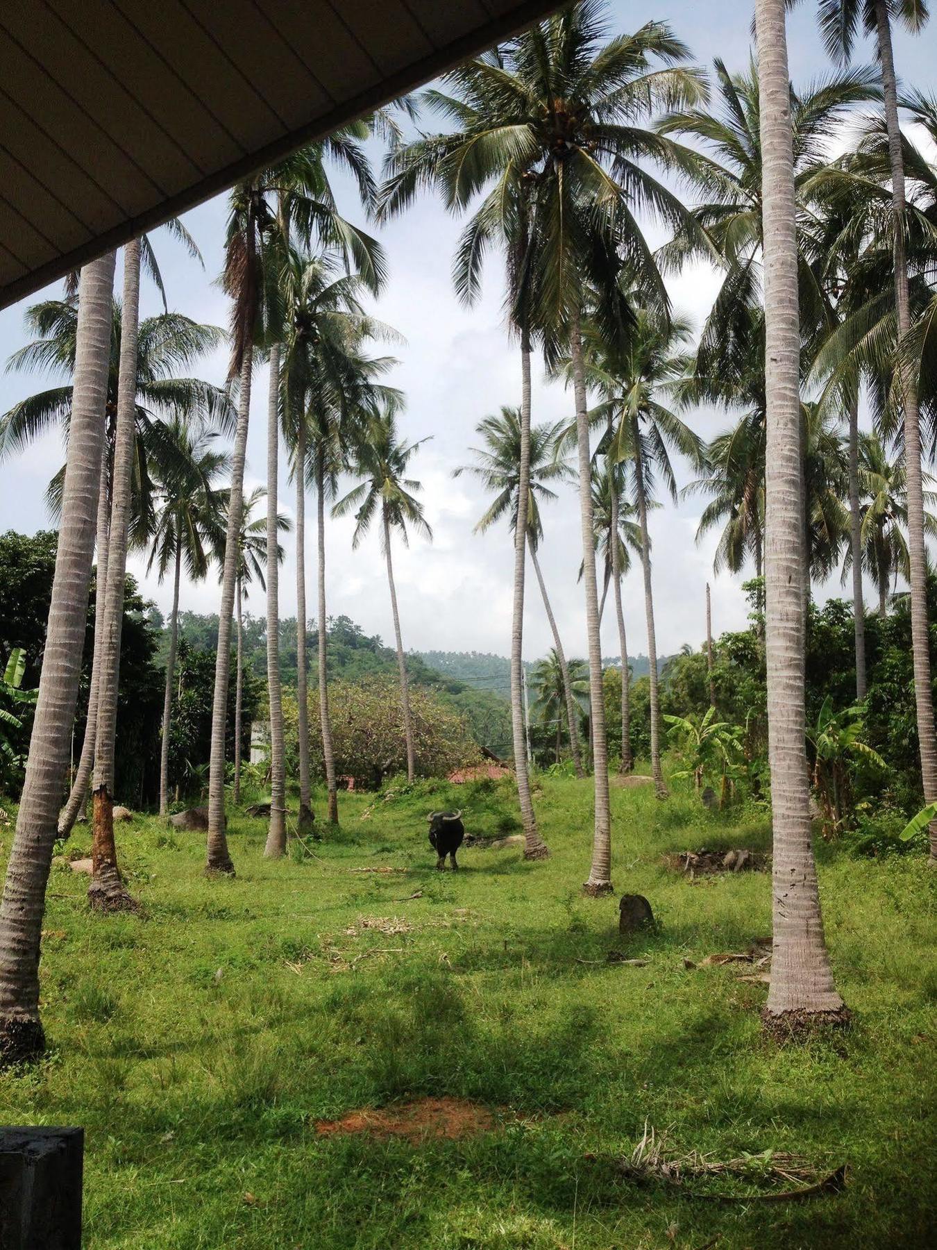 Baan Sawan Samui
