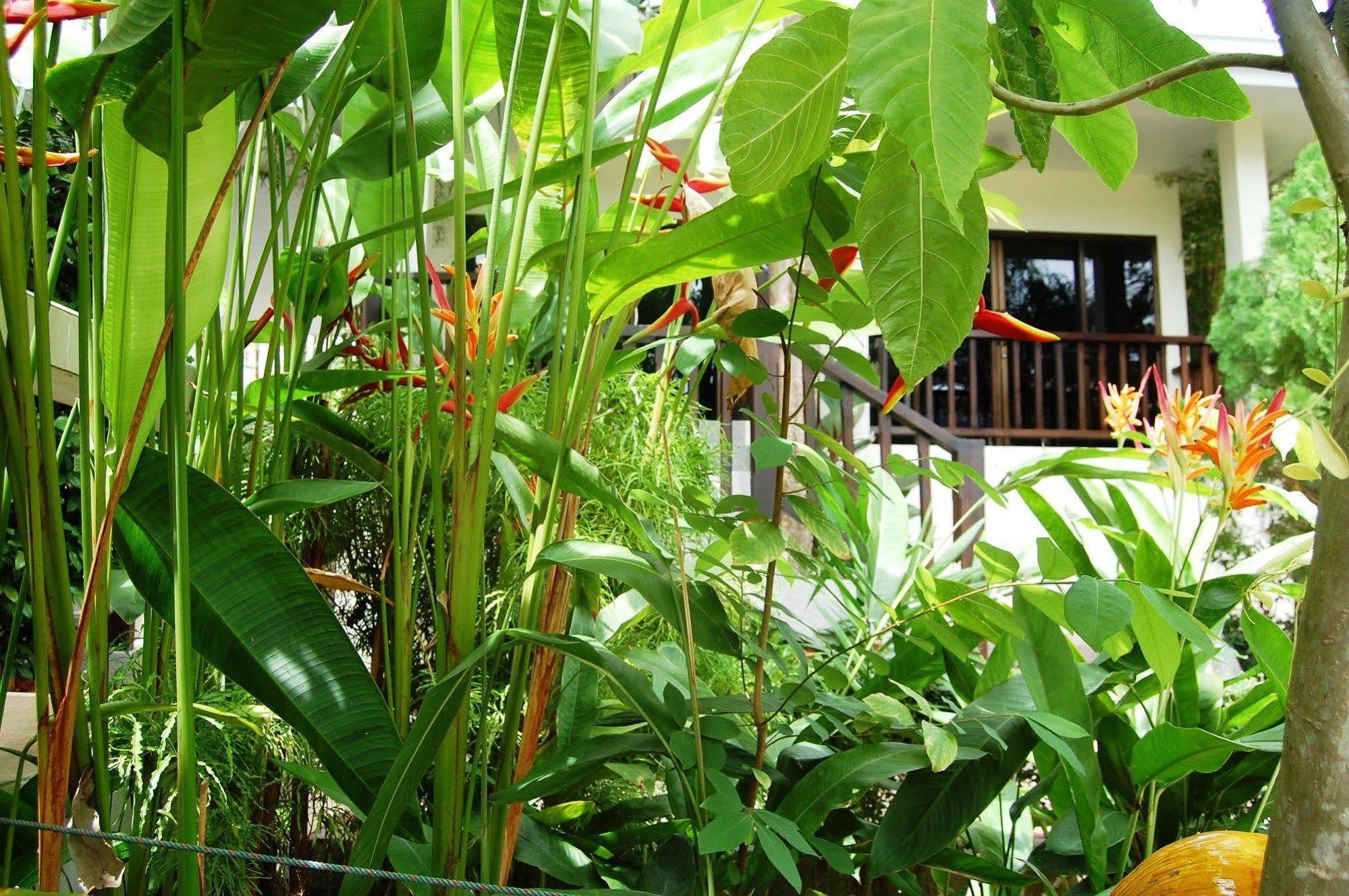 Resort Baan Sawan Samui