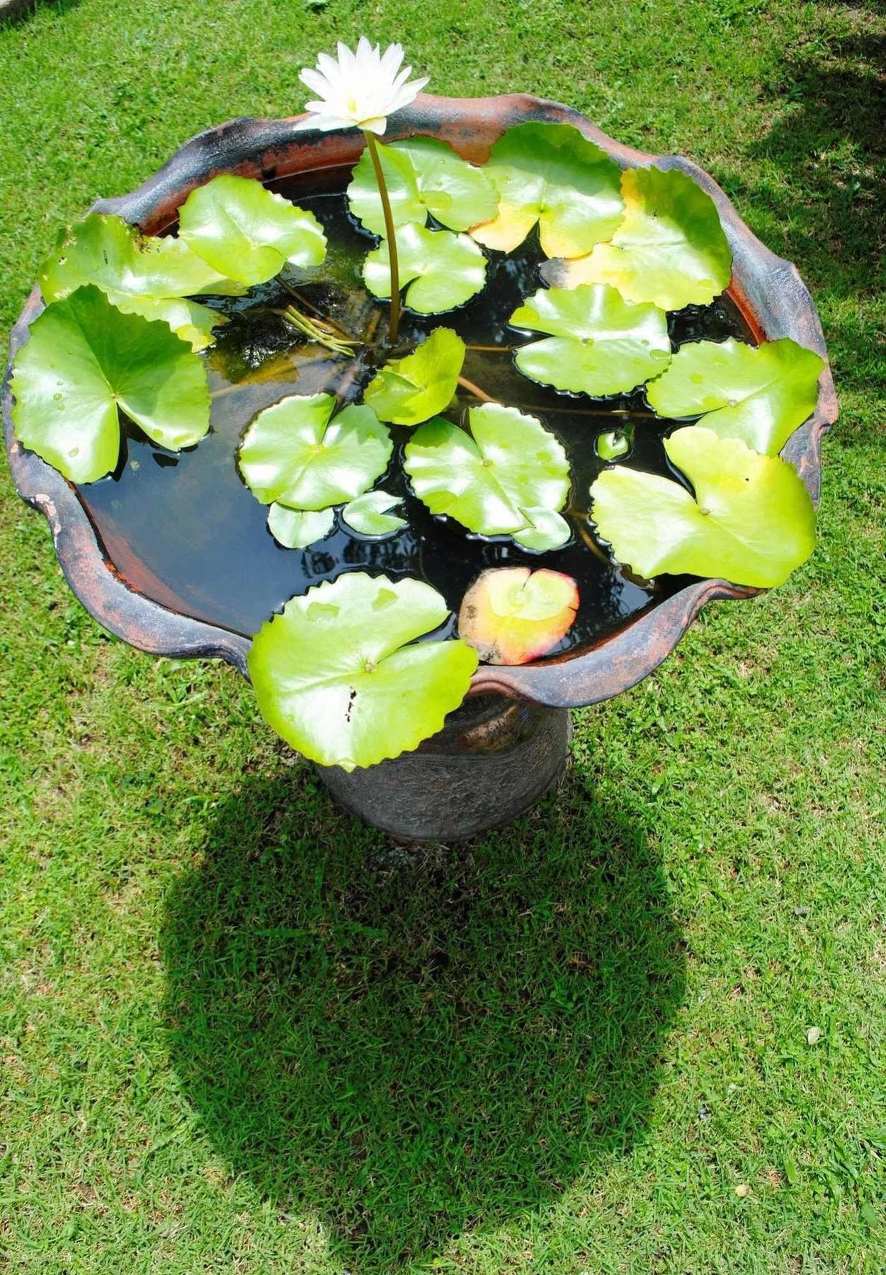 Baan Sawan Samui 4* Chaweng (Koh Samui)