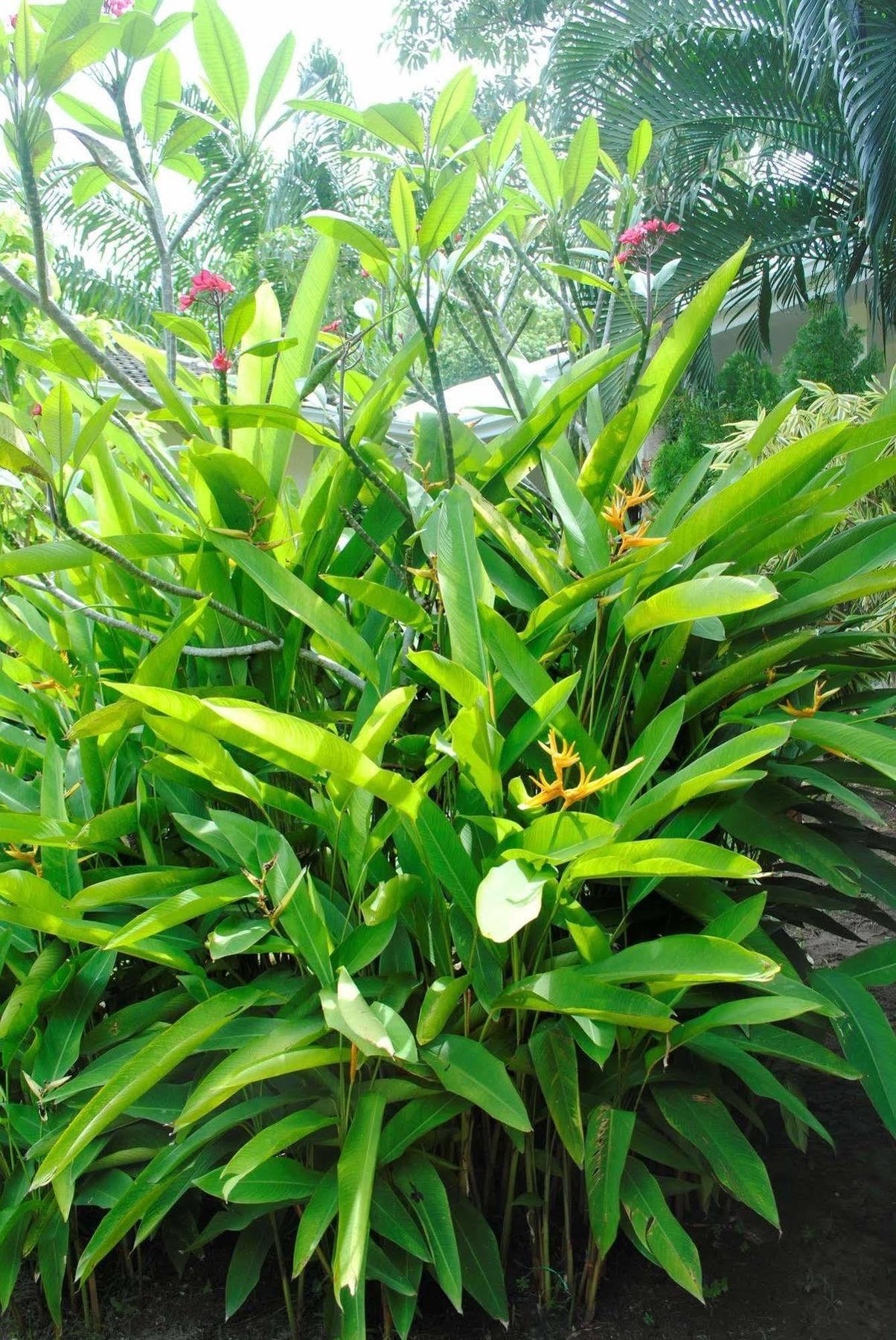 Baan Sawan Samui