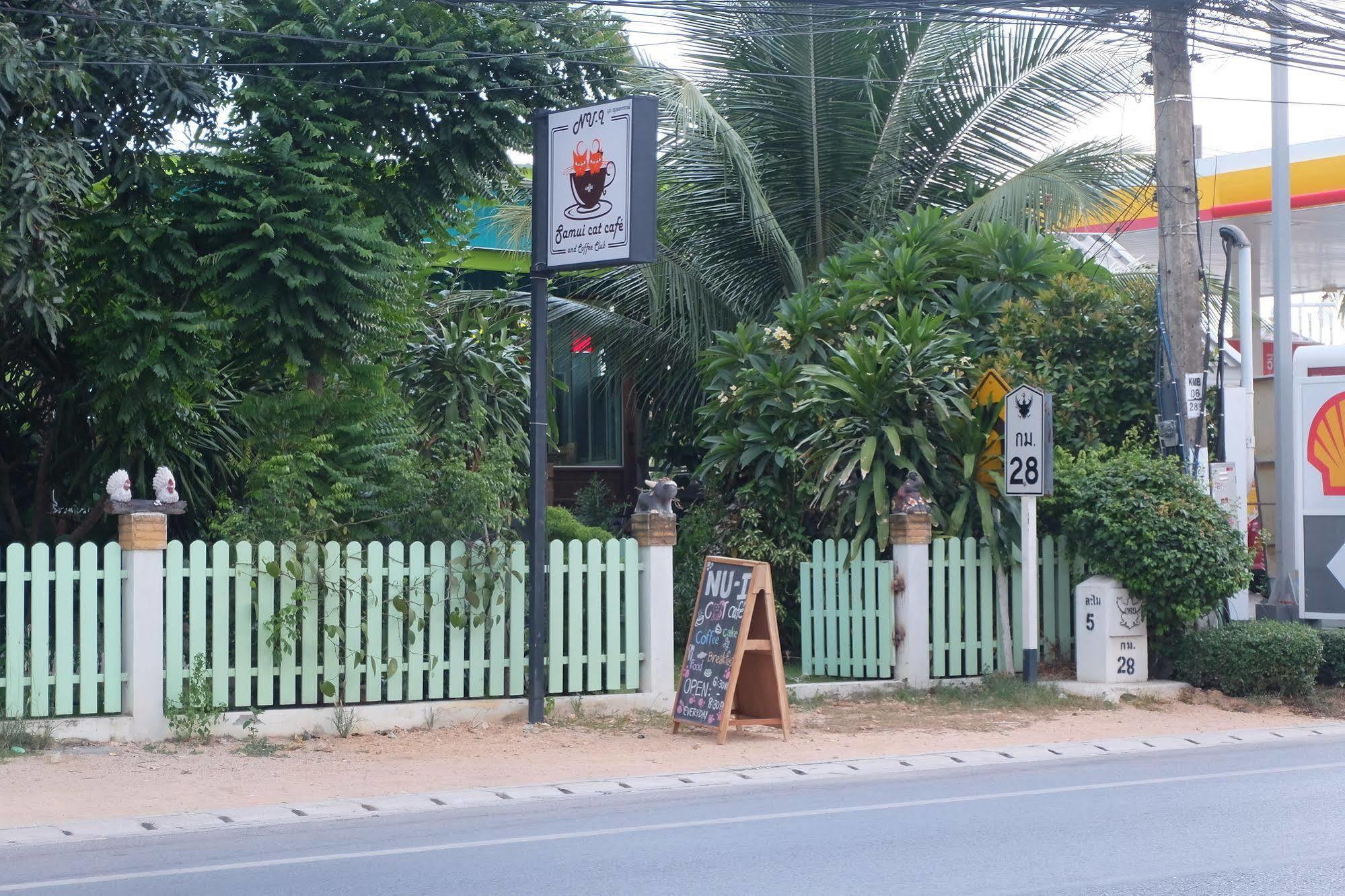 Samui Poshtel Hostel Koh Samui