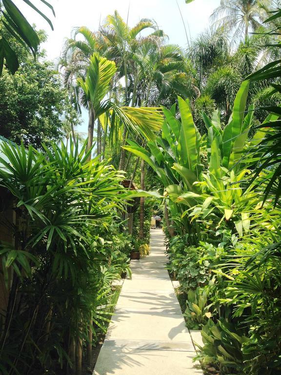 Evergreen Hotel