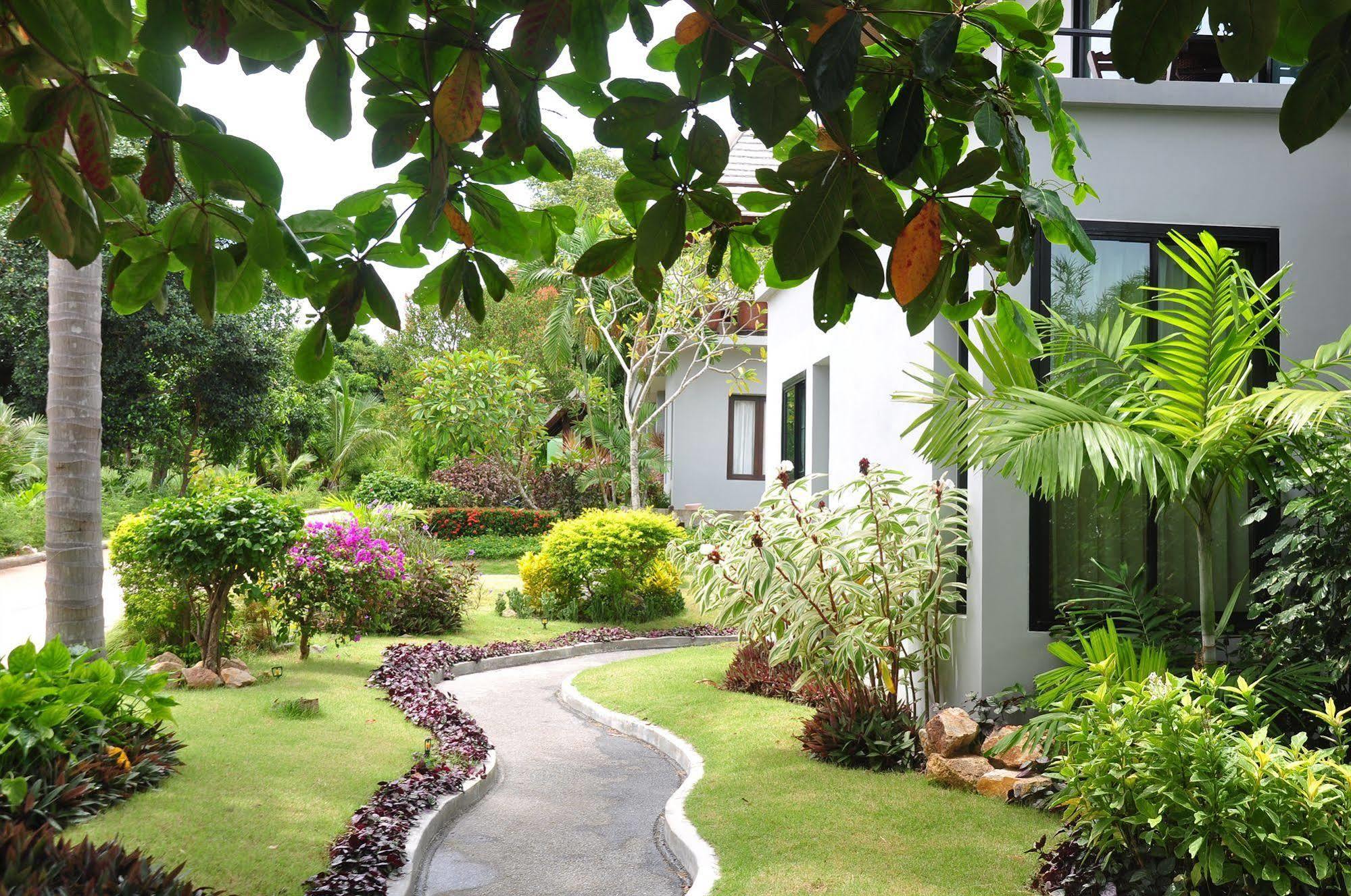 Samui Honey